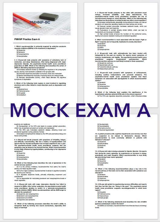 PMHNP Practice Exam - My Store