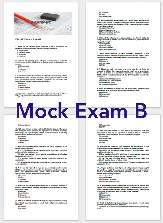 PMHNP Practice Exam - My Store